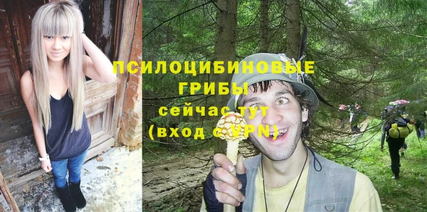 дживик Алзамай