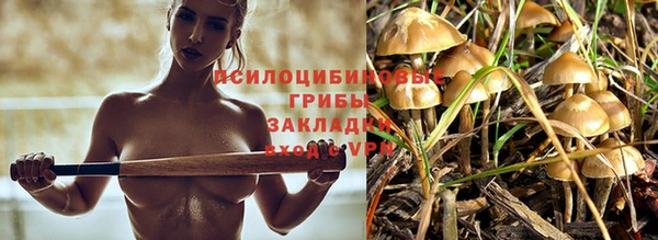 дживик Алзамай